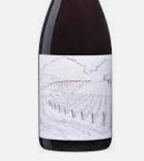 Greystone Vineyard Ferment Pinot Noir 2020 (CD 96) Organic